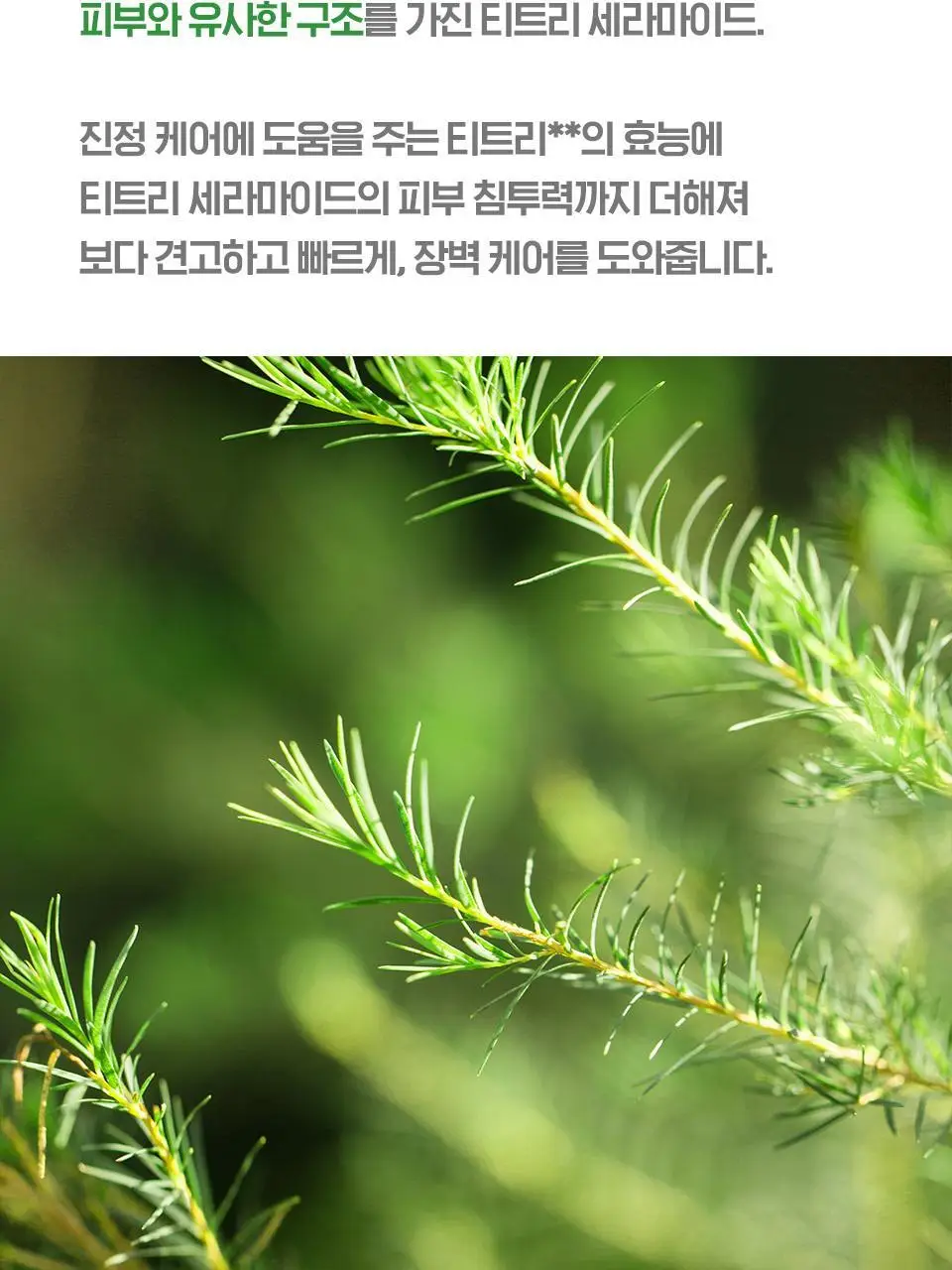 [속보습/30층/100시간] 아이소이 모이스춰 닥터 장수진 수분크림 70ml 기획(+수분앰플 10ml) 상세페이지 9